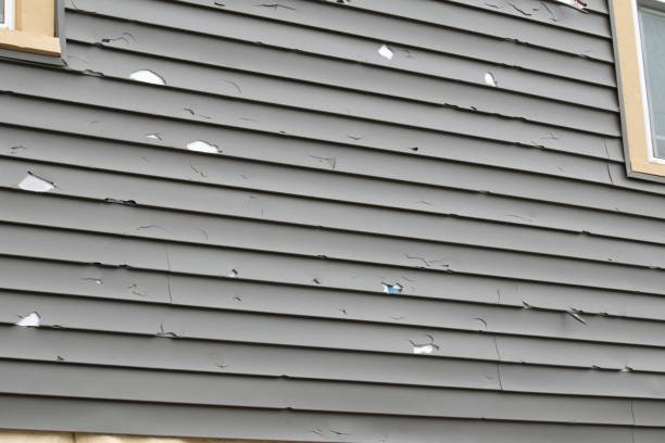 Best Storm Damage Siding Repair  in North Ballston Spa, NY